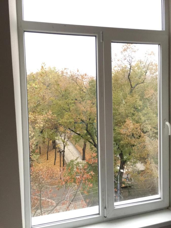 تشيسيناو Central Park Accommodation المظهر الخارجي الصورة
